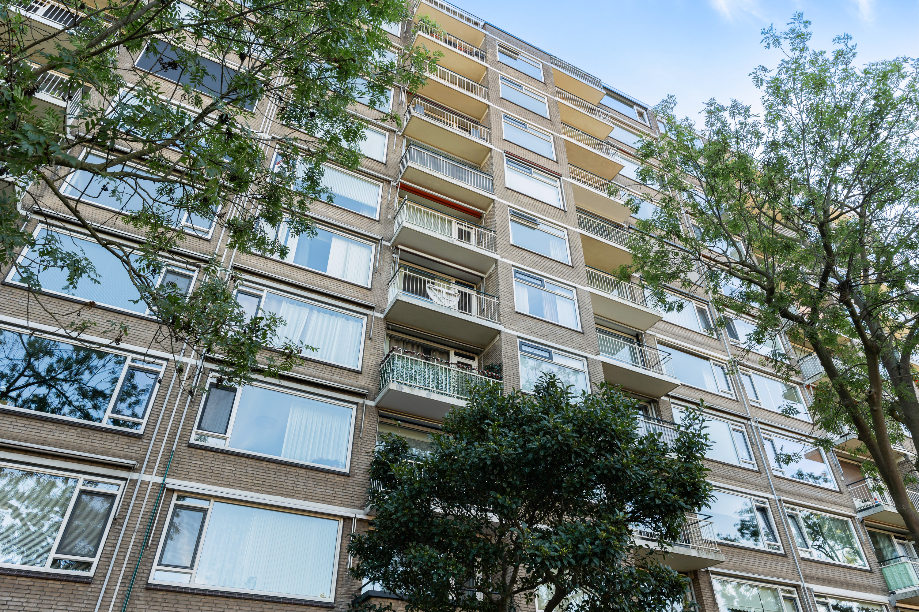 Een foto van Molenvliet 130, Rotterdam